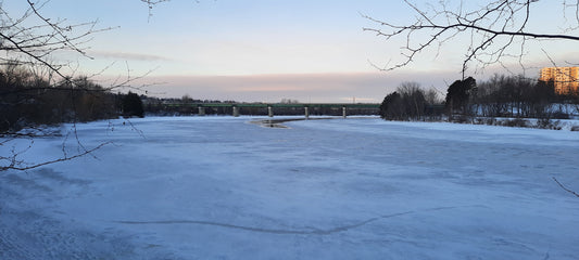 2022-01-10 (Vue 2.1)
