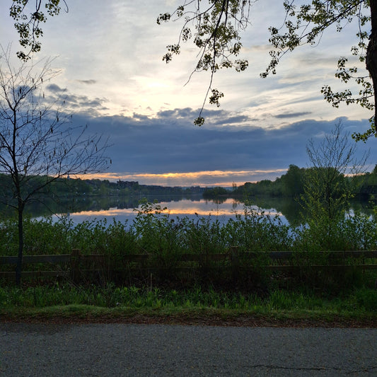 2025-05-16 05:58 (BP2 View)