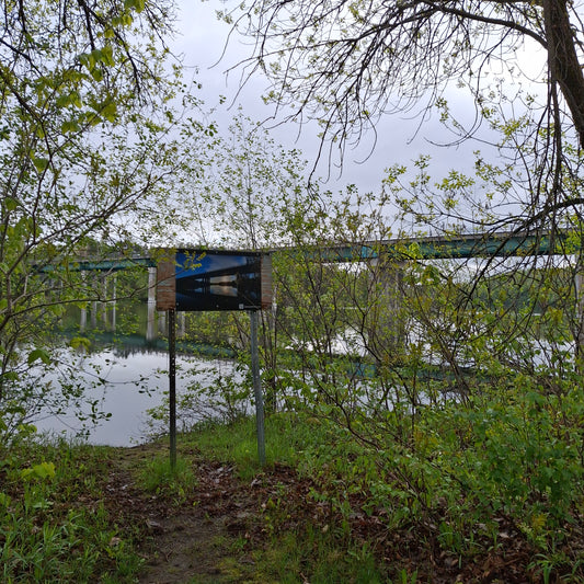 2025-05-24 The Jacques-Cartier Bridge (View T1)