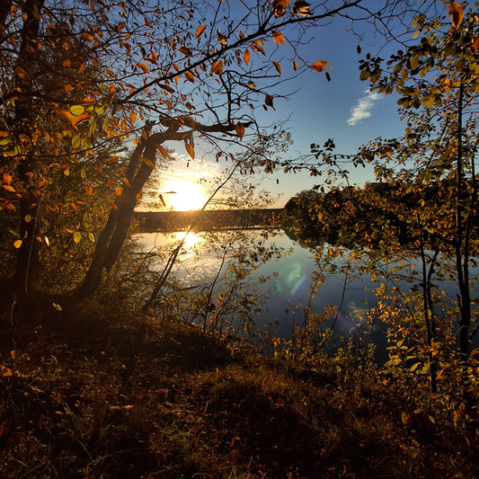 2025-10-11 17:43 (View 0)