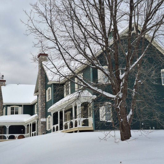 River Inn