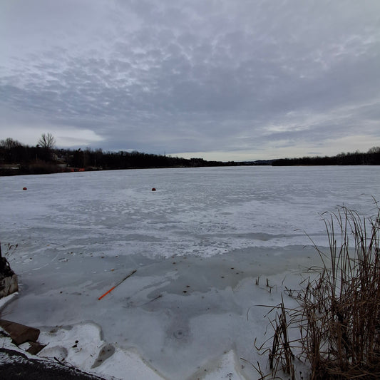 2025-12-20 (View Q1)