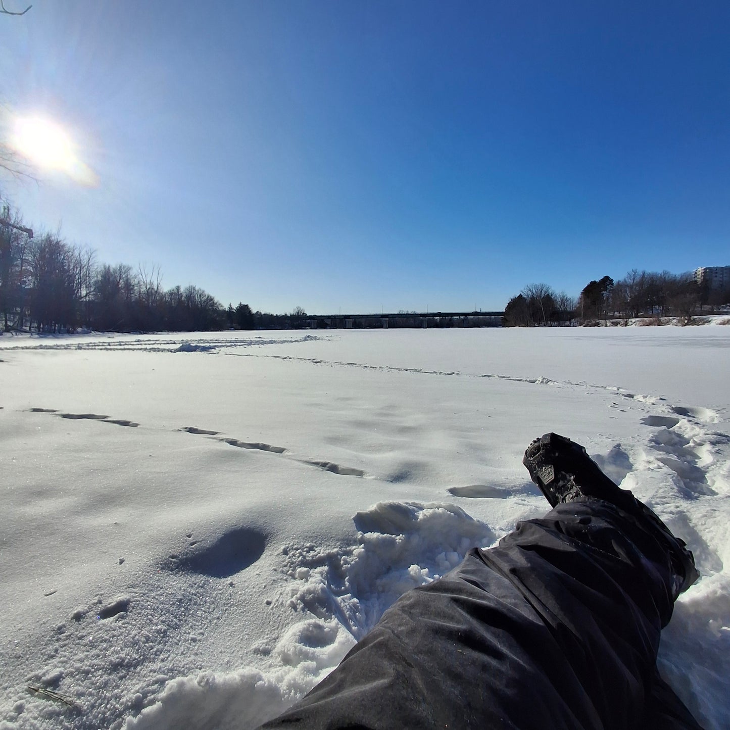 2026-01-24 (View 1)