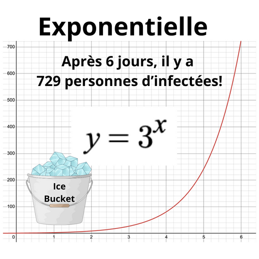 Exponential Function