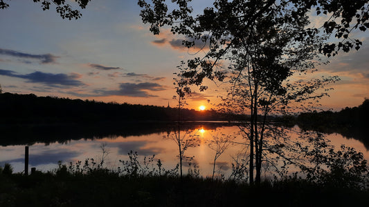 Lac Des Nations Du 21 Mai 2021 (Vue Bp1)