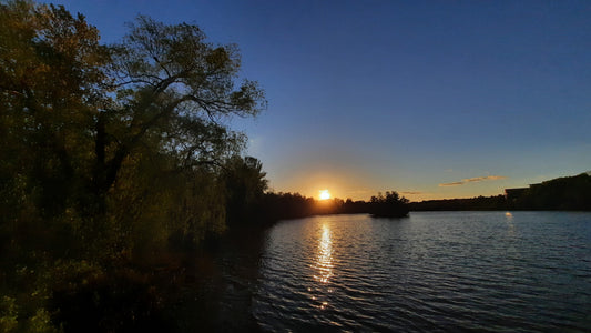 Le Grand Saule Au Coucher De Soleil Du 23 Mai 2021 (Vue T2)