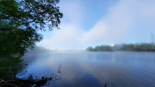 Le Bleu Et La Brume Du 24 Mai 2021 (Vue 1)