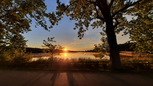 Soleil Du 29 Mai 2021 (Vue Bp2)