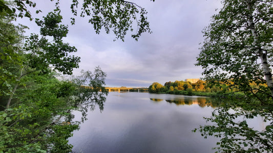 11 Juin 2021 (Vue 2)