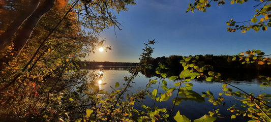 Soleil Intense Du 6 Octobre 2021 17H26 (Vue 0) Rivière Magog À Sherbrooke. Pont Jacques Cartier.