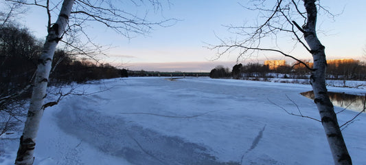 2022-01-10 (Vue 2.1)