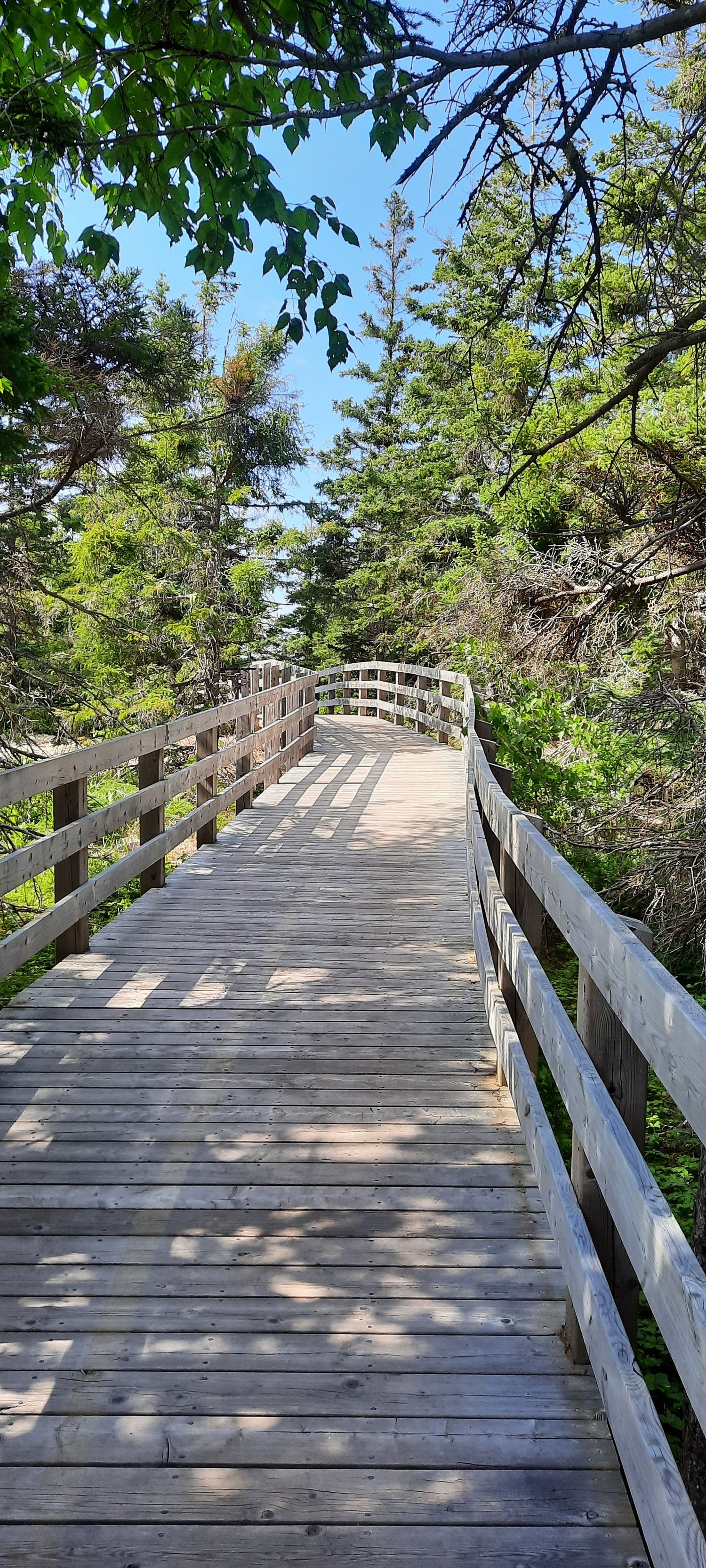 Greenwich - Prince Edward Island National Park Parc