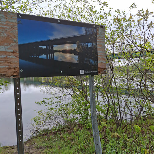 2025-05-24 The Jacques-Cartier Bridge (View T1)