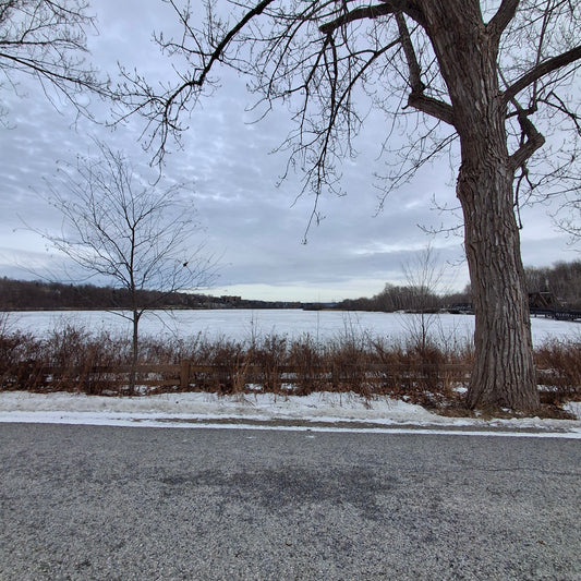 2025-12-20 (View BP3)