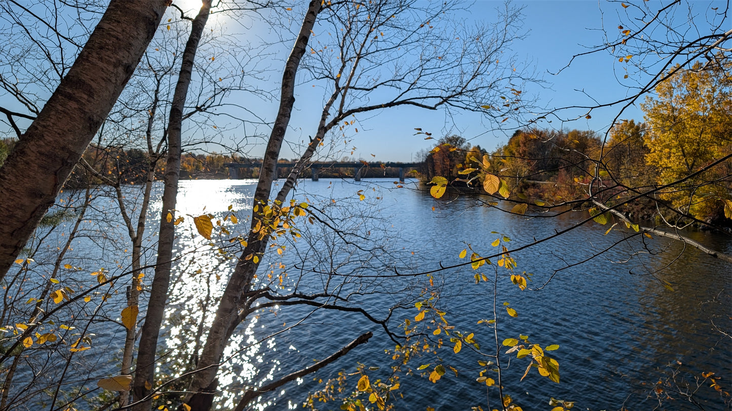 2026-10-20 16:04 (Vue 2.3)