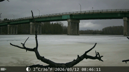 Trouve la caméra de chasse